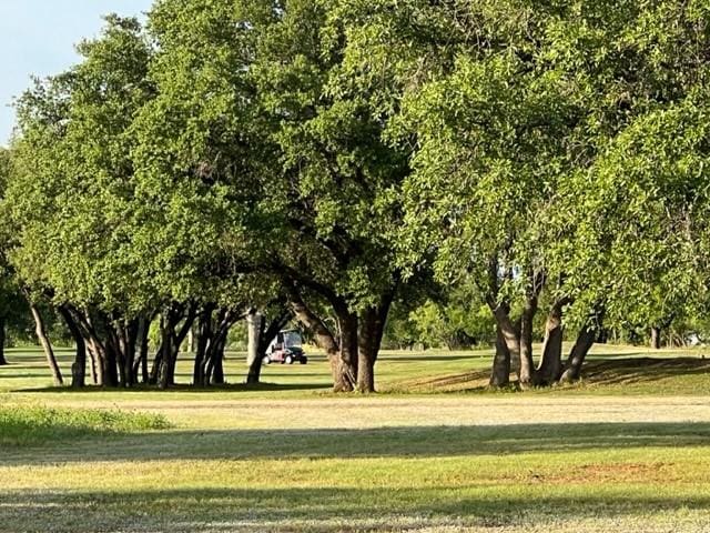 LOT917 Safe Harbor Dr, Brownwood TX, 76801 land for sale