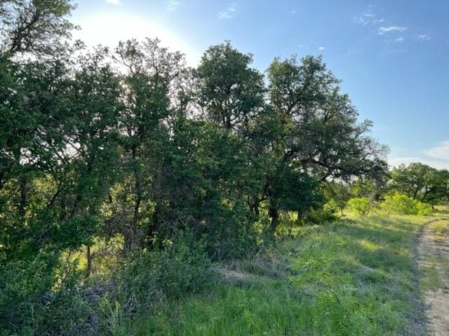 Listing photo 2 for LOT917 Safe Harbor Dr, Brownwood TX 76801