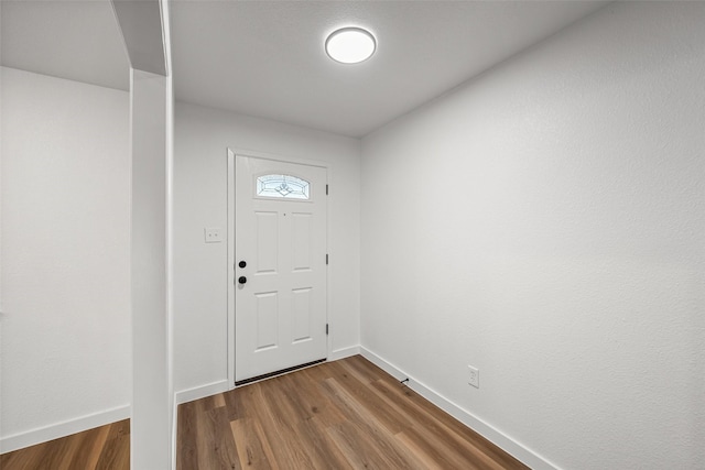 entryway featuring wood-type flooring