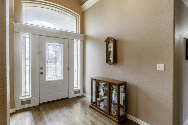 foyer with hardwood / wood-style floors