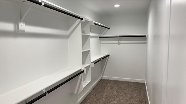 1744 River Bend Rd, Burleson, TX 76028 - walk in closet featuring carpet floors