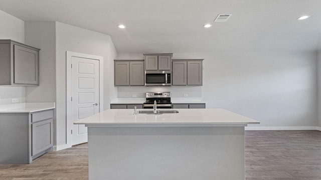 kitchen featuring stainless steel appliances, an island with sink, sink, and gray cabinetry