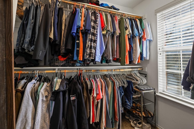 view of spacious closet