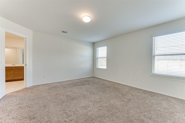 spare room featuring light carpet