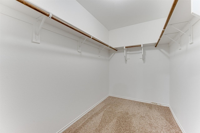 walk in closet with carpet