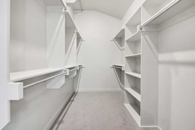 walk in closet featuring carpet floors