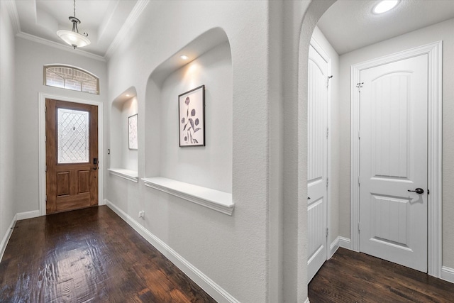 foyer featuring ornamental molding and dark wood-type flooring