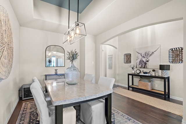 dining room featuring a raised ceiling and hardwood / wood-style floors