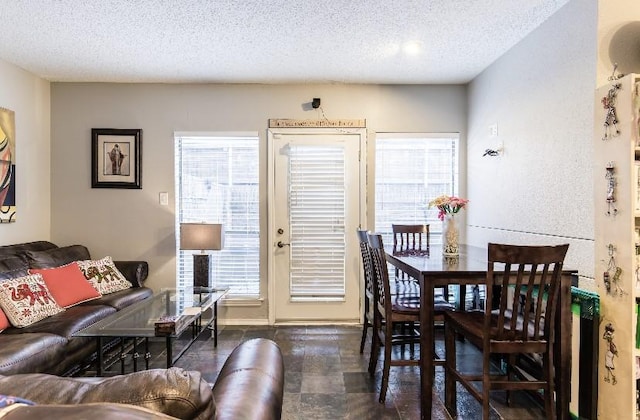 dining space with a healthy amount of sunlight and a textured ceiling