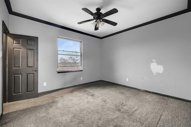 unfurnished room featuring crown molding, ceiling fan, and carpet flooring