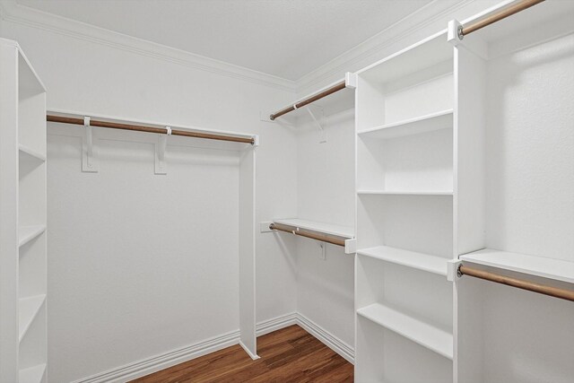 spacious closet with dark hardwood / wood-style floors