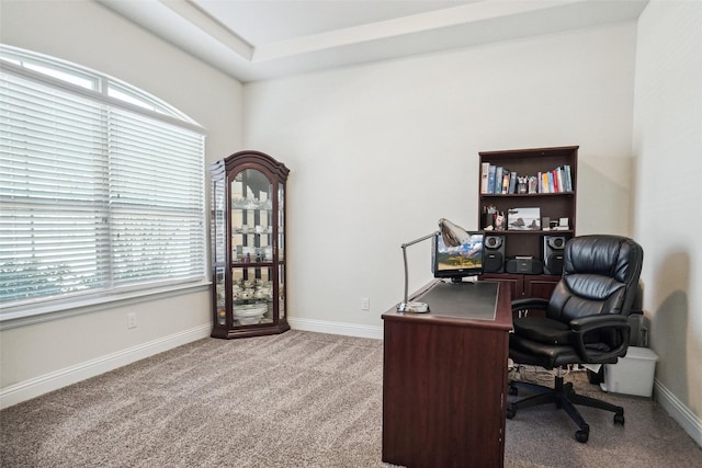 carpeted office with a wealth of natural light