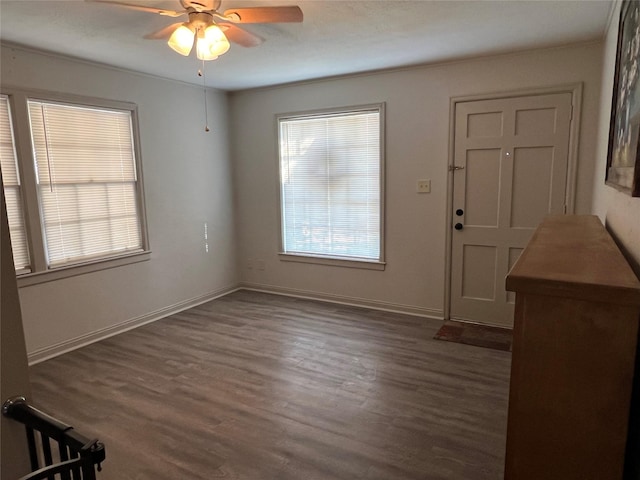 entryway featuring ceiling fan and dark hardwood / wood-style flooring