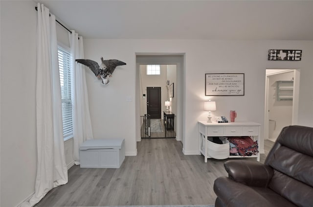 living room featuring light hardwood / wood-style floors