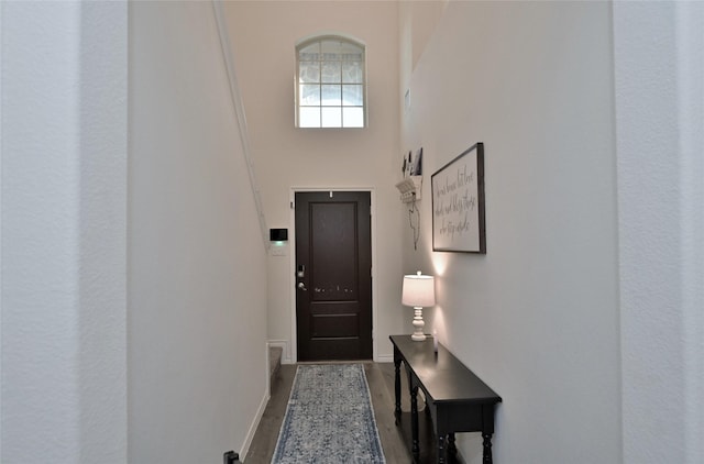 doorway to outside featuring hardwood / wood-style floors and a high ceiling