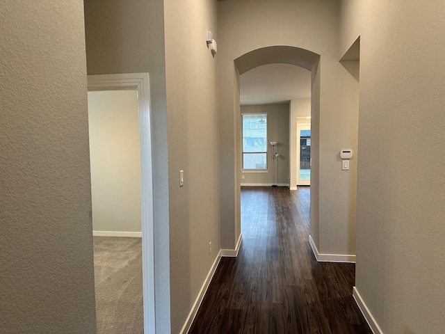 hallway featuring dark wood-type flooring