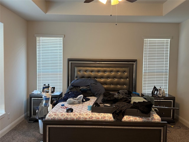 carpeted bedroom featuring a raised ceiling and ceiling fan