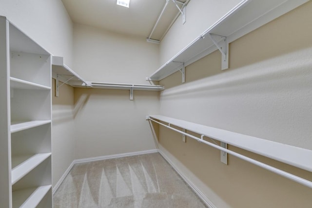 walk in closet featuring light colored carpet