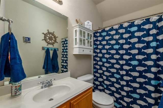 bathroom with toilet, a textured wall, vaulted ceiling, and vanity