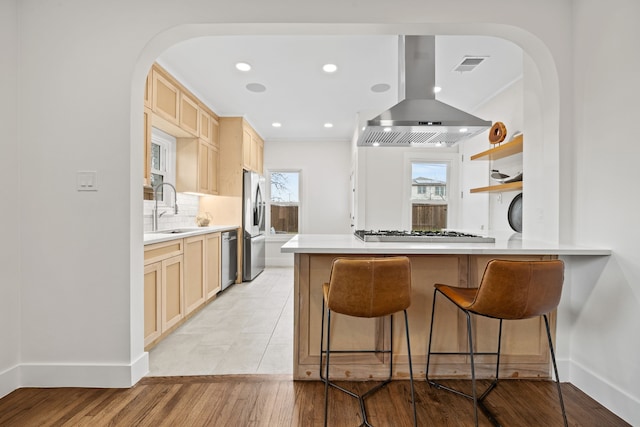 kitchen with ventilation hood, light brown cabinets, a sink, arched walkways, and appliances with stainless steel finishes