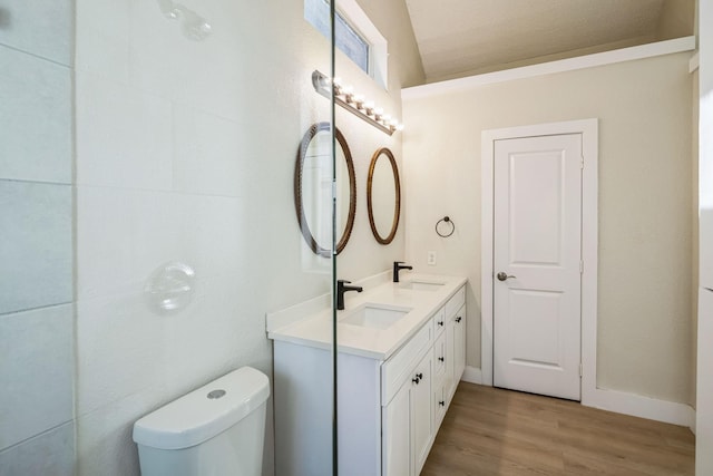 bathroom featuring vanity, hardwood / wood-style flooring, and toilet