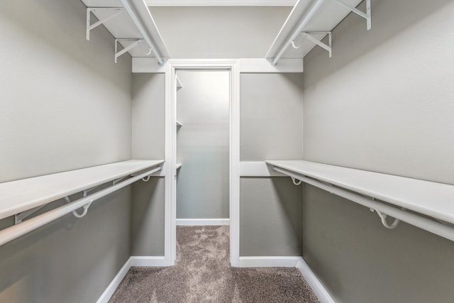 walk in closet with carpet flooring