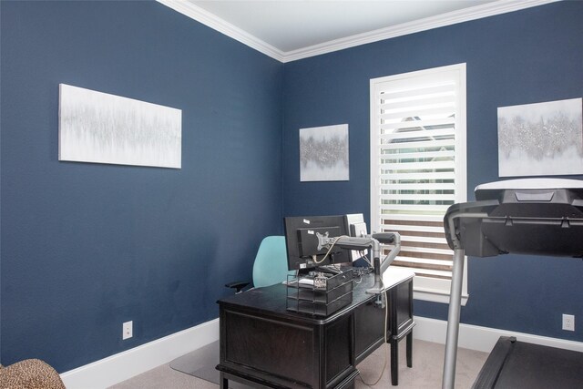 carpeted office space featuring crown molding