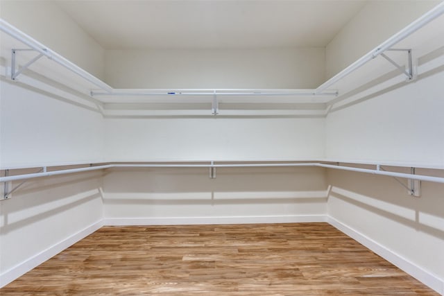 spacious closet featuring hardwood / wood-style floors