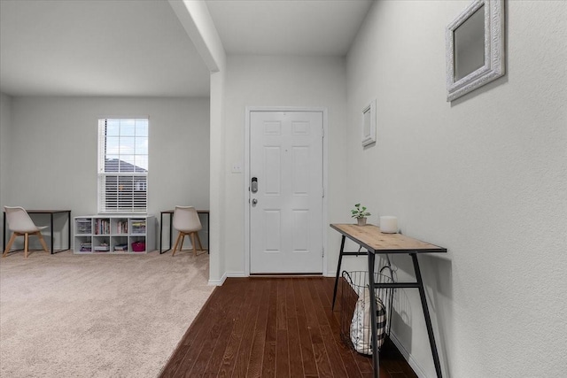 foyer with dark wood-type flooring