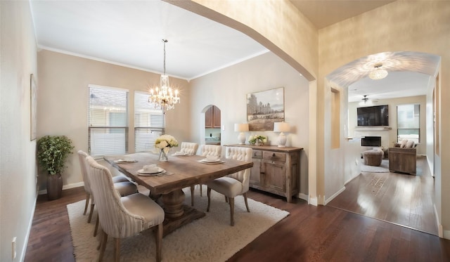 dining area with ornamental molding, dark hardwood / wood-style floors, and ceiling fan with notable chandelier