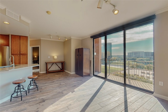 interior space featuring sink, light hardwood / wood-style flooring, and ornamental molding