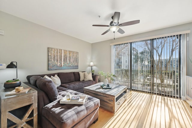 living room featuring ceiling fan and wood-type flooring