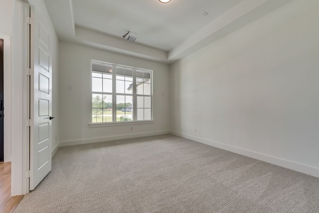 spare room featuring light colored carpet and a tray ceiling