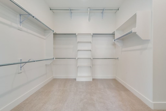 spacious closet with light carpet