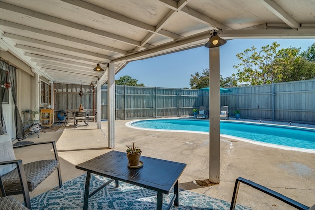 view of pool featuring a patio area