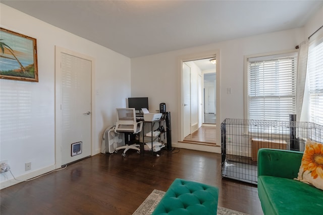 office featuring dark hardwood / wood-style flooring