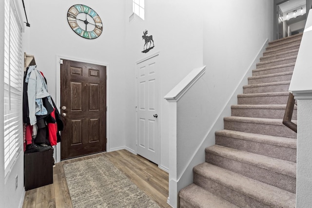 foyer entrance with wood-type flooring