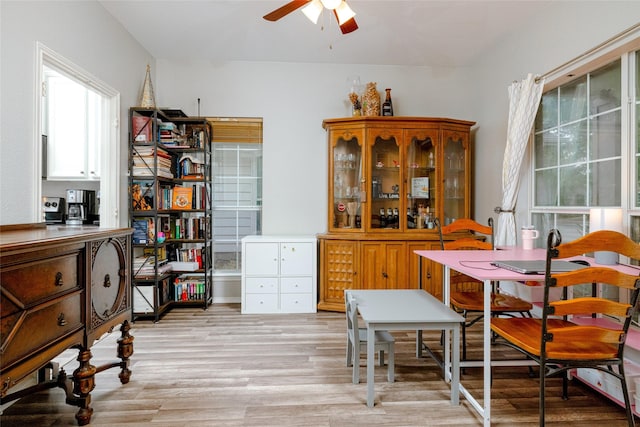 dining space with ceiling fan and light wood-type flooring