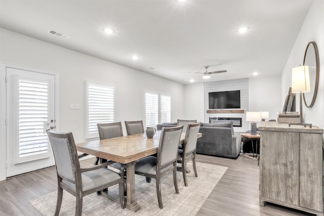 dining room with ceiling fan and light hardwood / wood-style floors