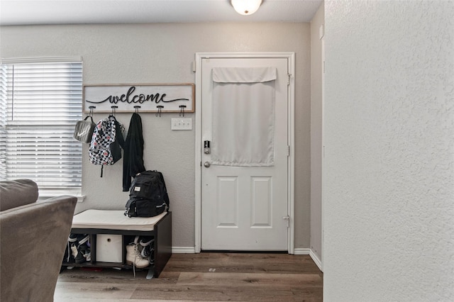 mudroom featuring wood-type flooring and a healthy amount of sunlight