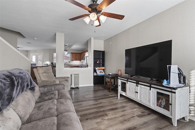 living room featuring ceiling fan, radiator, and dark hardwood / wood-style floors