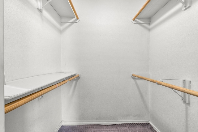 spacious closet featuring carpet