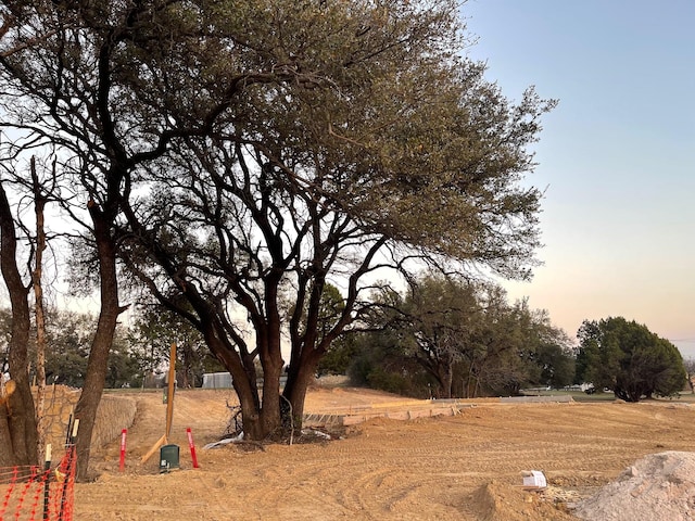 view of yard at dusk