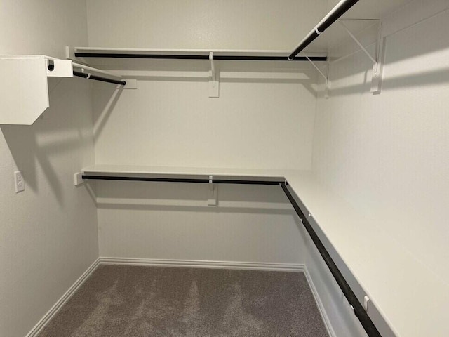 spacious closet with carpet