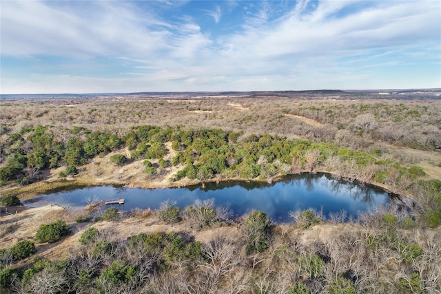 850 Fm 2256, Mineral Wells TX, 76067 land for sale