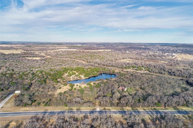 Listing photo 3 for 850 Fm 2256, Mineral Wells TX 76067