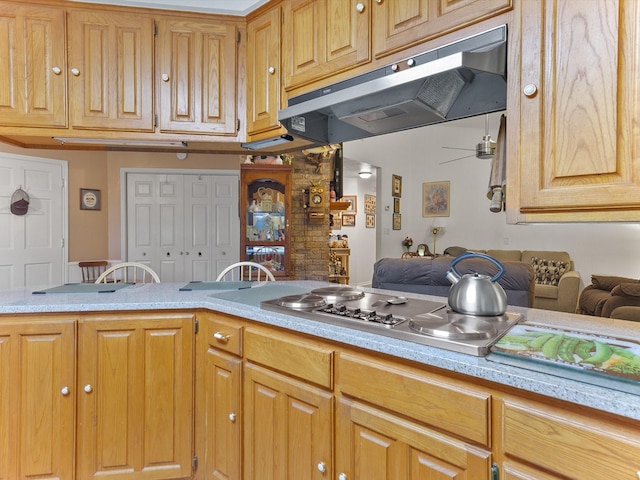 kitchen with gas stovetop, ceiling fan, and kitchen peninsula