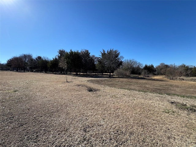 view of yard with a rural view