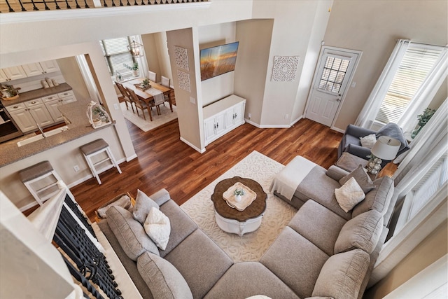 living room featuring dark hardwood / wood-style flooring