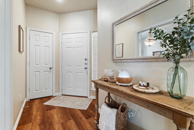 foyer entrance with dark wood-type flooring